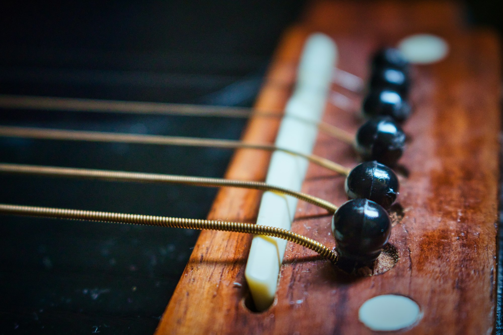 Closeup macro shot of guitar strings